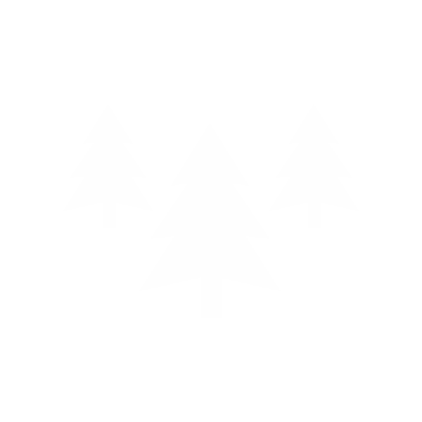 logo ecoaxion FOREST